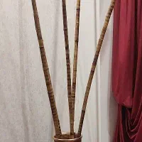 گلدان سفالی و چوب بامبو