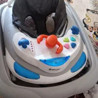 فروش روروئک دلیجان