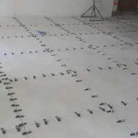 به دو نفر شاگرد کاشی کار وسنگ کار نیازمنیدم