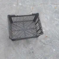 سبد میوه|ظروف نگهدارنده، پلاستیکی، یک‌بارمصرف|شوشتر, |دیوار