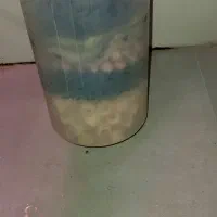 فیلتر سطلی ایهایم ۲۲۱۳|ماهی|کرج, شهرک بنفشه|دیوار