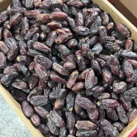 خرمای ربی|عمدهفروشی|بم, |دیوار