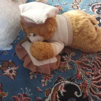 خرسی|اسباببازی|سقز, |دیوار