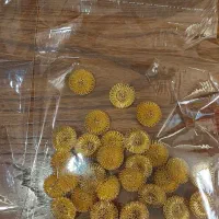 خرج کار خیاطی