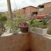 سویت اجاره ای|اجارهٔ کوتاه‌مدت آپارتمان و سوئیت|گرگان, |دیوار