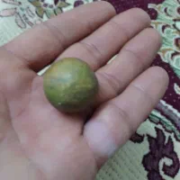 سنگ قیمتی|جواهرات|اردبیل, |دیوار