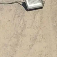 کفتر رفته شده