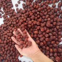 عناب، و حبه عناب قائنات|خوردنی و آشامیدنی|قم, شهرک امام حسین|دیوار