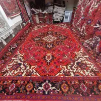 تک ۹متری شربیانی کم یاب