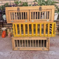 باکس رها سازی قفس راهکش