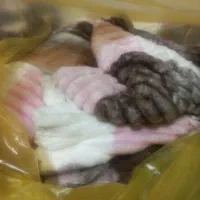 پتوی مسافرتی دو نفره و یک نفره همراه با رو بالشت|رختخواب، بالش، پتو|اهواز, گلستان|دیوار