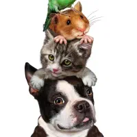 منشی و دستیار دامپزشک