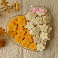 قندونبات فانتزی|خوردنی و آشامیدنی|اصفهان, عسگریه|دیوار