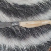 چاقو دسته استخوان|کوهنوردی و کمپینگ|خمینی‌شهر, |دیوار