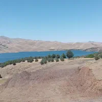 زمین-باغی-و-کشاورزی-سد