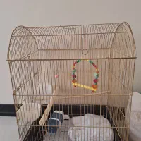 قفس پرنده