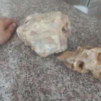 سنگ‌اکواریومی