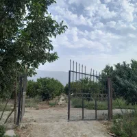 فروش ۲۹۰۰متر باغ هلو و پرتقال خونی با چاه اب و برق|فروش زمین و ملک کلنگی|نوکنده, |دیوار