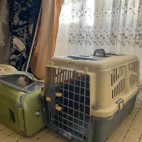 باکس سگ و گربه|لوازم جانبی حیوانات|مشهد, هفت تیر (حافظ)|دیوار