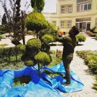 خدمات باغبانی|خدمات باغبانی و درختکاری|یزد, |دیوار