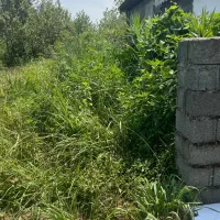 فروش-زمین-شهرکی-در-کلاچای