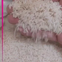 برنج۱۰۰٪خالصشمالمستقیمازکشاورز|خوردنی و آشامیدنی|زرگرشهر, |دیوار