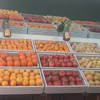 استخدام همکار برای میوه فروشی