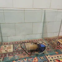 آکواریوم شرکتی