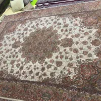قالی سلیمان|فرش|اهواز, کوی مهدیس|دیوار