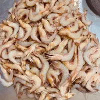 ارزن محلی