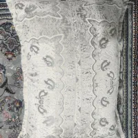 پشتی گم شده