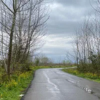 زمین گلسار آلمان