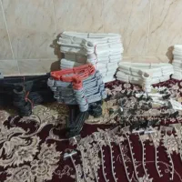 رگال و چوب لباسی