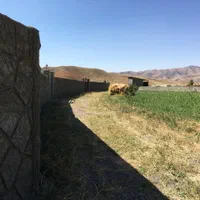 فروش زمین ویلا حصاردار اقساطی|فروش خانه و ویلا|صوفیان, |دیوار