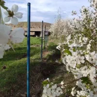 فنس کشی و پایه گذاری صالحی|خدمات باغبانی و درختکاری|تبریز, |دیوار