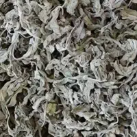 پونه خشک