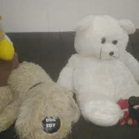 9عدد عروسک فقط یک ملیون