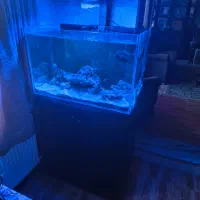 آکواریوم آب شور با وسایل