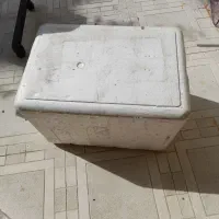 فیبریخچالی