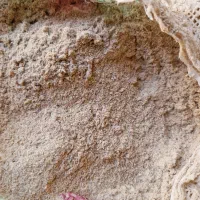 سبوس برنج  (کپک)تازه تمیز|خوردنی و آشامیدنی|رشت, گلباغ نماز|دیوار