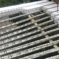 الماتوربندی وبتن ریزی کلی وجزئی|خدمات پیشه و مهارت|هشتگرد, شهرک بعثت|دیوار