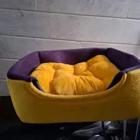 جای خواب گربه