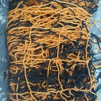 تور دروازه بان