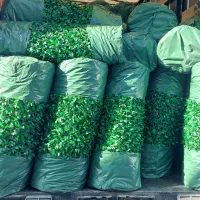 فنس چمنی|خدمات باغبانی و درختکاری|هشتگرد, کوی بهروز|دیوار