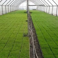 باکس نشاء برنجکاری مدلPS412 قالب سینی نشا تومPS412