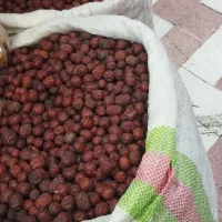عناب|خوردنی و آشامیدنی|مشهد, شیرودی|دیوار