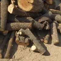 خرید انواع چوب و درخت|خدمات باغبانی و درختکاری|شوشتر, |دیوار