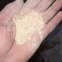 گاوگوساله گوسفندبره اسب بزسبوس