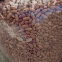 برنج کامفیروزی درجه یک، قیمت مقطوع