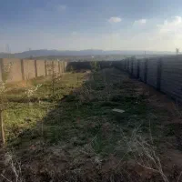 500متر باغ دور دیوار